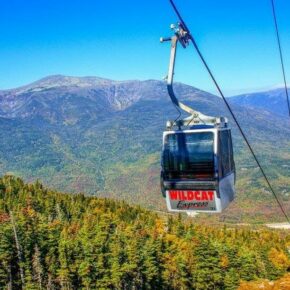 Schuss your way to own a piece of Wildcat Mountain history. ⛰️ Our iconic summer scenic gondola cabins will be up for auction. The auction opens Saturday, Sept. 21, and closes Sunday, Sept. 22. 🚠 These unique cabins offer a chance to own a piece of the mountain. Proceeds benefit the EpicPromise Employee Foundation and Northern Human Services. 

To learn more and register, visit the link in our bio.