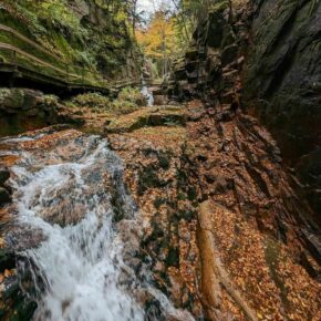 Planning to visit us this weekend? Book your Aerial Tram and Flume Gorge tickets now! There is very limited availability left for Saturday and Sunday. 
Hit the link in the bio for tickets, trip planning and more!
@skinewhampshire