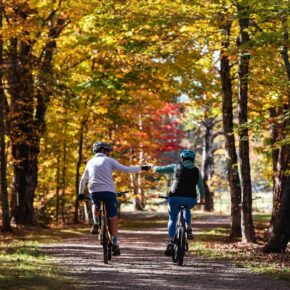 Bike with us through October 20th! Bring your own 🚲 or choose from our rental fleet. Adventures for the whole pack–from wide carriage roads to single-track.

Daily, 8:30am–5pm.
For more info: greatglentrails.com/biking

📷s: @jsorrellphoto 
.
.
.
#visitnh #whitemountains #mountainbiking #gravelbiking #nh #greatglentrails #visitmwv #skinh #pinkhamnotch #ggt #foliage #leafpeeper #carriageroads #singletrack #iwanttoridemybicycle #falladventures #🍁🚲