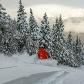 What a week in New Hampshire! With cooler temps and fresh snow, multiple NH ski areas were able to open their trails for the season🎿 

The following ski areas successfully opened this week:
@loonmtnresort 
@mountsunapee 
@wildcatmountain 
@gunstockmtn 
@cranmoremountain 
@attitashmountainresort 
@crotched_mountain 
@raggedmtn 
@patspeakskiarea 

A total of 14 areas are now open, so it’s time to get out there ⛷ For up to date trail conditions, check out the link in bio. #skinewhampshire