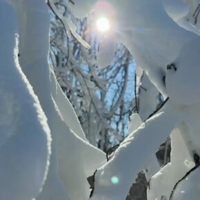 With bluebird skies and vibrant snow, it’s a hot doggin’ day at Ragged!

Lower Ridge and Pines will OPEN tomorrow providing us with 26 trails and 139 acres of skiing and riding terrain for the holiday weekend.

UPCOMING EVENTS:
🔸Saturday, Jan. 18 – LIVE Music in Stone Hearth with Red Hat Band 3 to 6pm
🔸Sunday, Jan. 19 - LIVE Music in Stone Hearth with Benny Bass & Matt Smart 3 to 6pm
🔸Monday, Jan. 20 – This Martin Luther King Day, give back & save! Bring 5 non-perishable food items per person and enjoy a discounted lift ticket - $59 for adults or $47 for juniors/seniors. That’s $20 off your lift ticket for making a difference!

#raggedmtn | #getragged | #raggedagainstthemachine