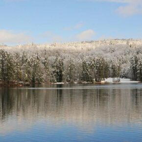 "From the prodigious hilltops of New Hampshire..." - Martin Luther King, Jr. 

purityspring.com 👑❄️🏔️