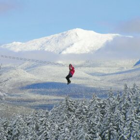 Canopy Tour Winter SQ